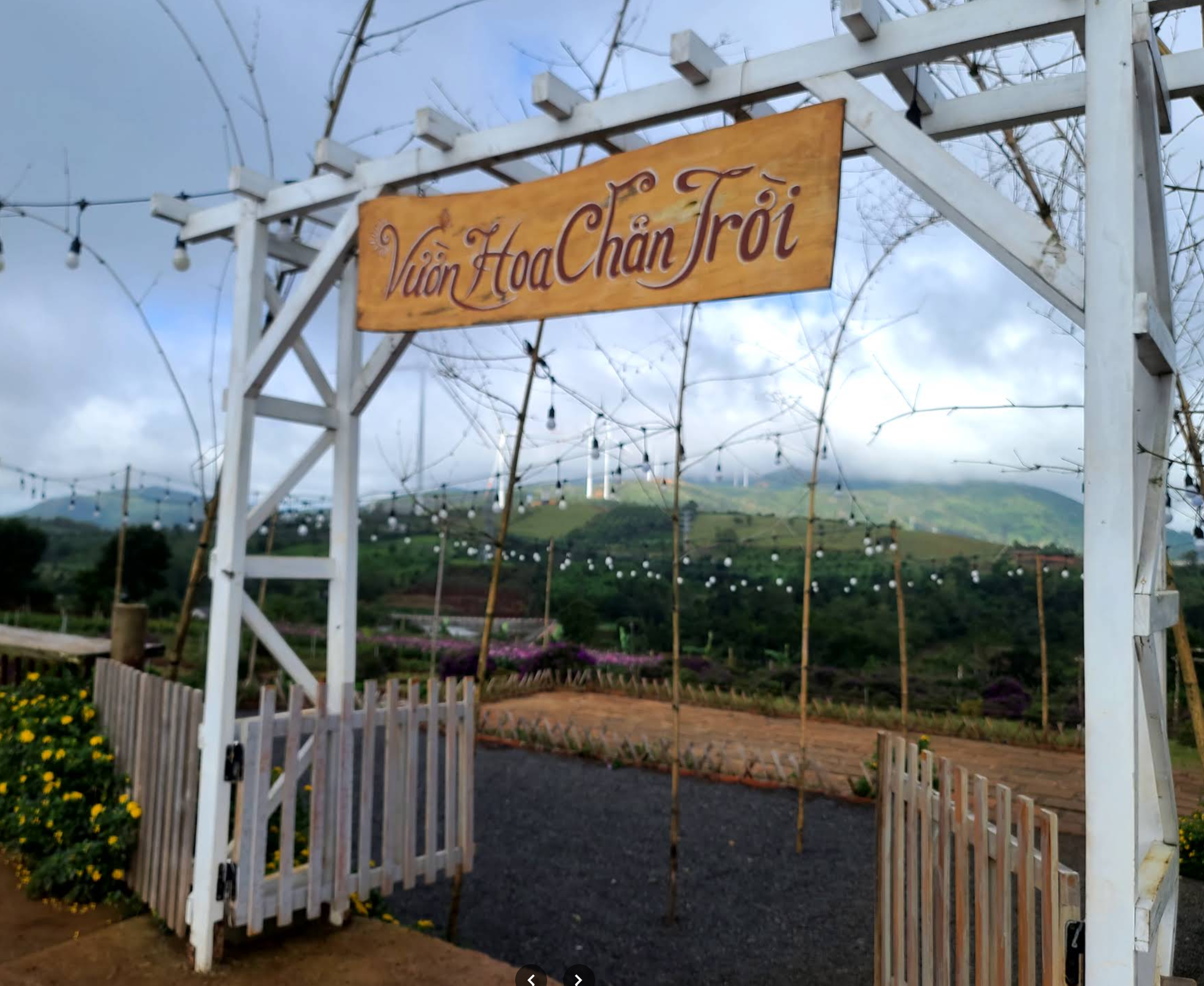 Chân trời Farm